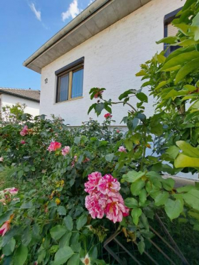 Apartment Anna - Austrian country house in Marchfeld im Weinviertel